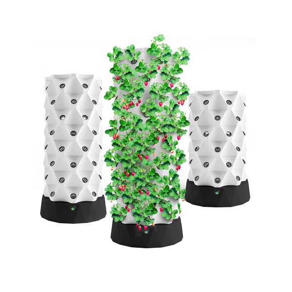 Dutchman's Tower Garden