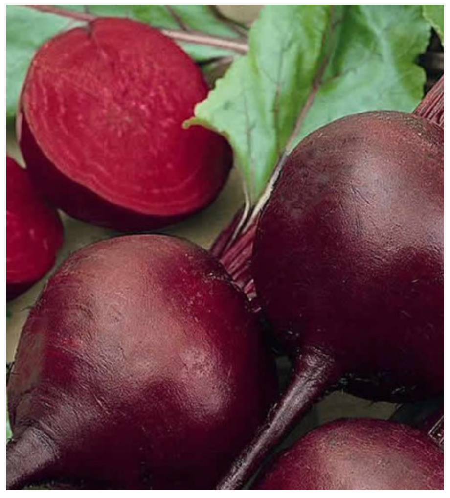 Beetroot Detriot 2 Dark Red - Dutchman's Hydroponics & Garden Supply