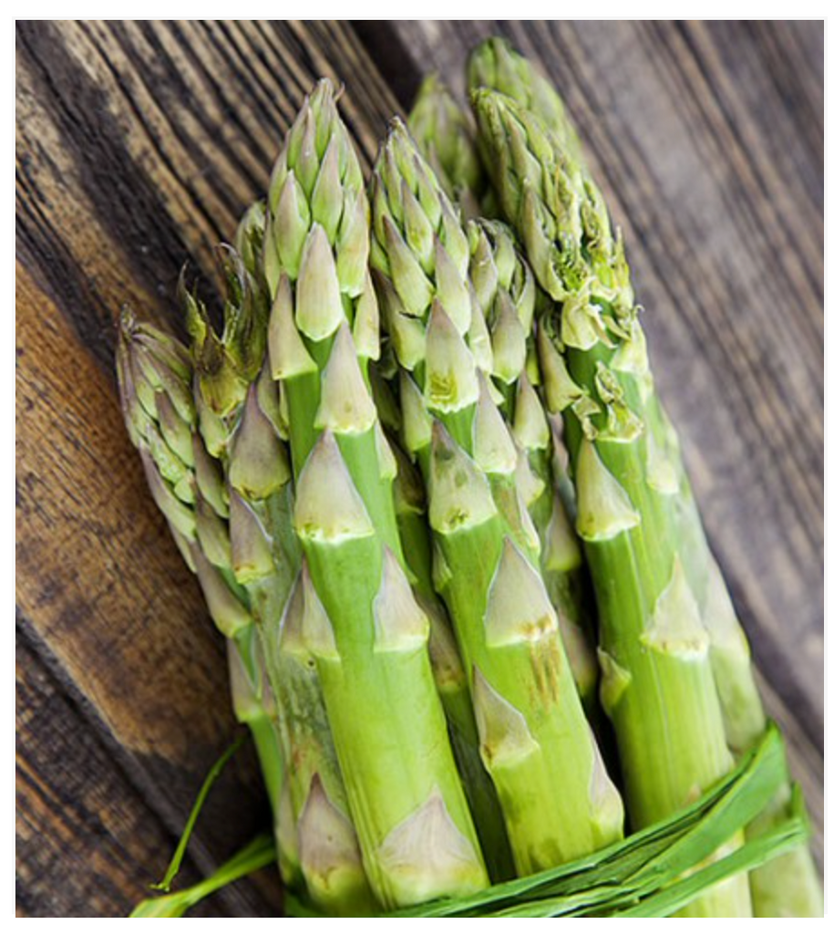 Asparagus D’Argentuil - Dutchman's Hydroponics & Garden Supply