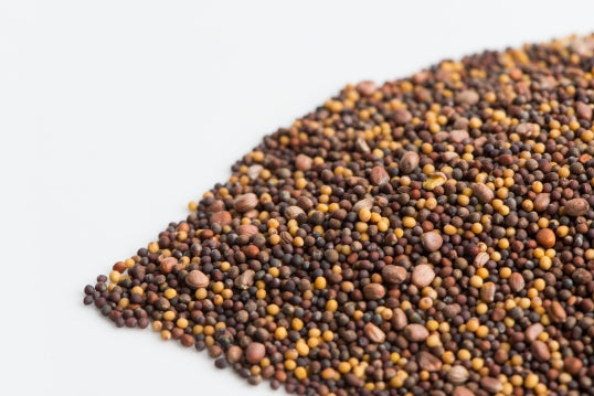 Broccoli Brassica Blend Microgreen Seeds