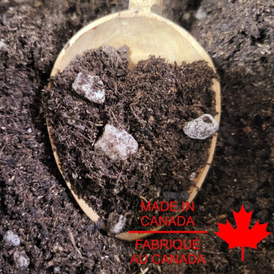 BLACK SWALLOW SOIL WITH PUMICE & ADDED BIOLOGY