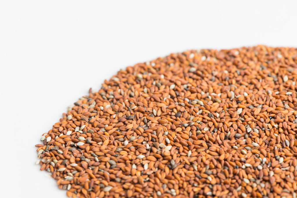Curly Cress Microgreen Seeds