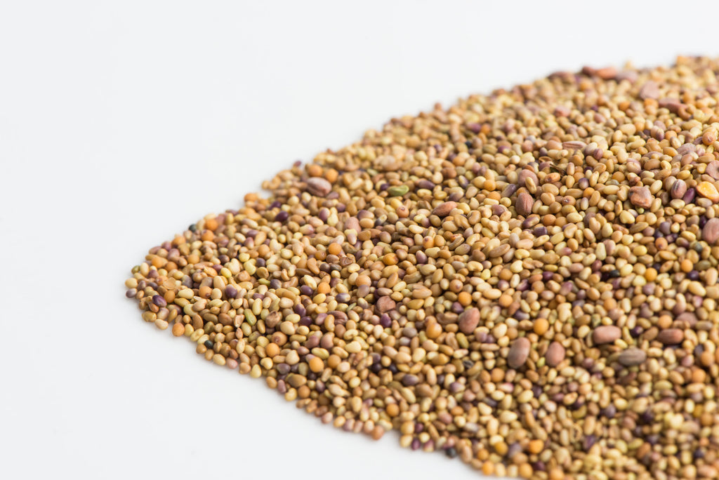 Sandwich Booster Sprouts
