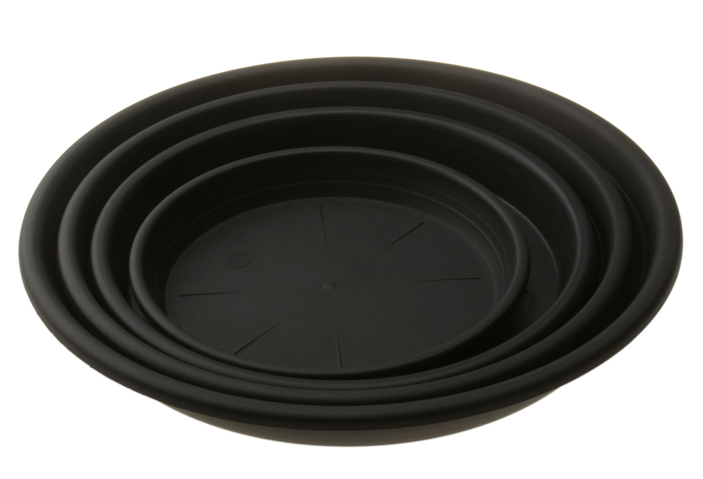 8" Saucer