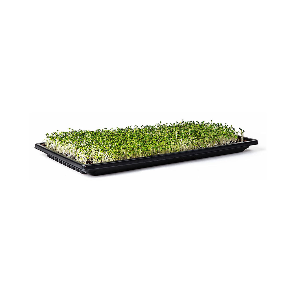 Double Thick 1.25" Deep Microgreen Tray 1020
